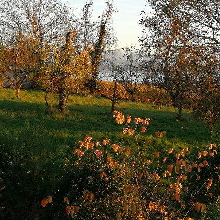 Haus Meersburg Garten ภายนอก รูปภาพ