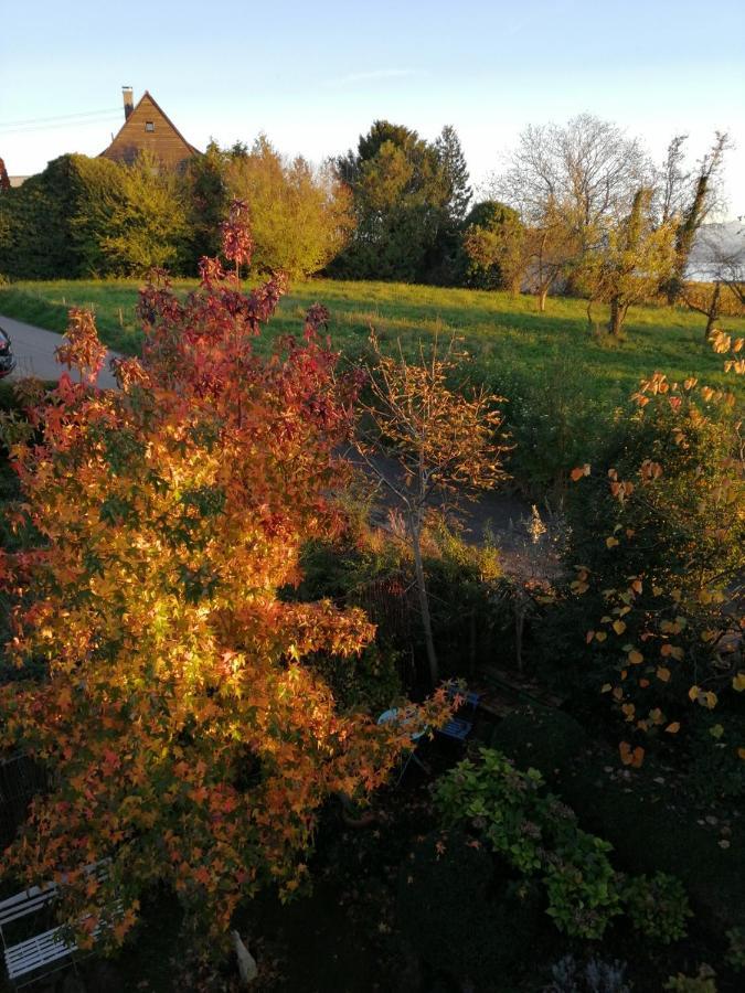 Haus Meersburg Garten ภายนอก รูปภาพ