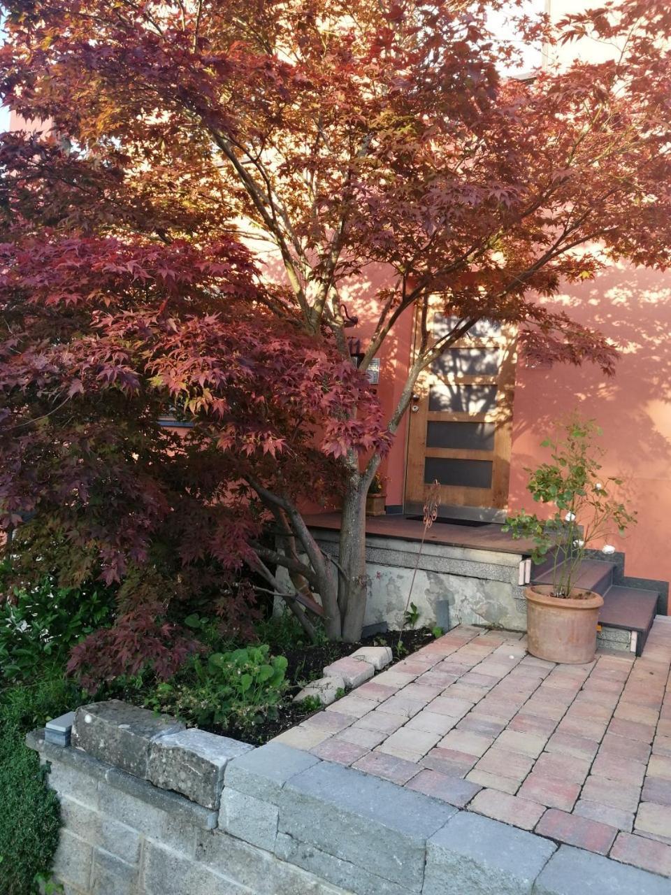 Haus Meersburg Garten ภายนอก รูปภาพ