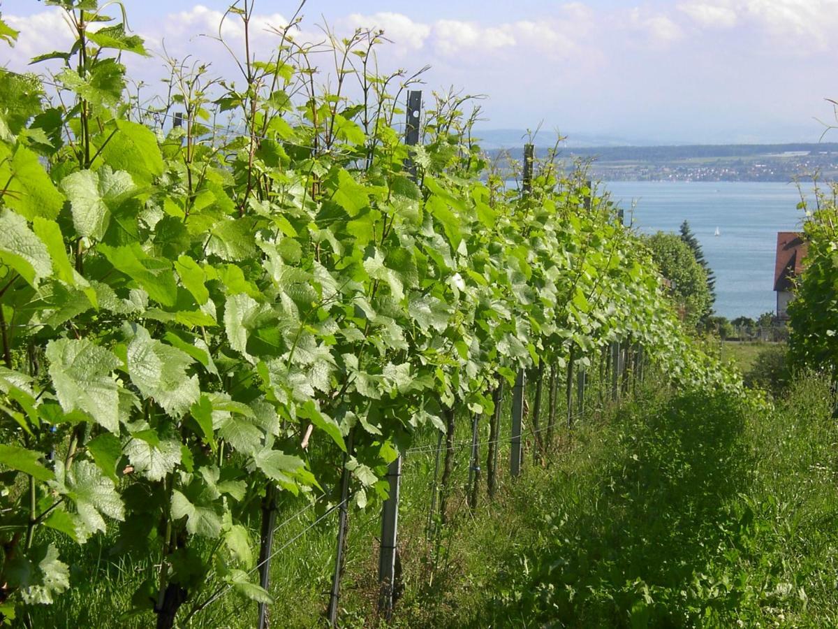Haus Meersburg Garten ภายนอก รูปภาพ