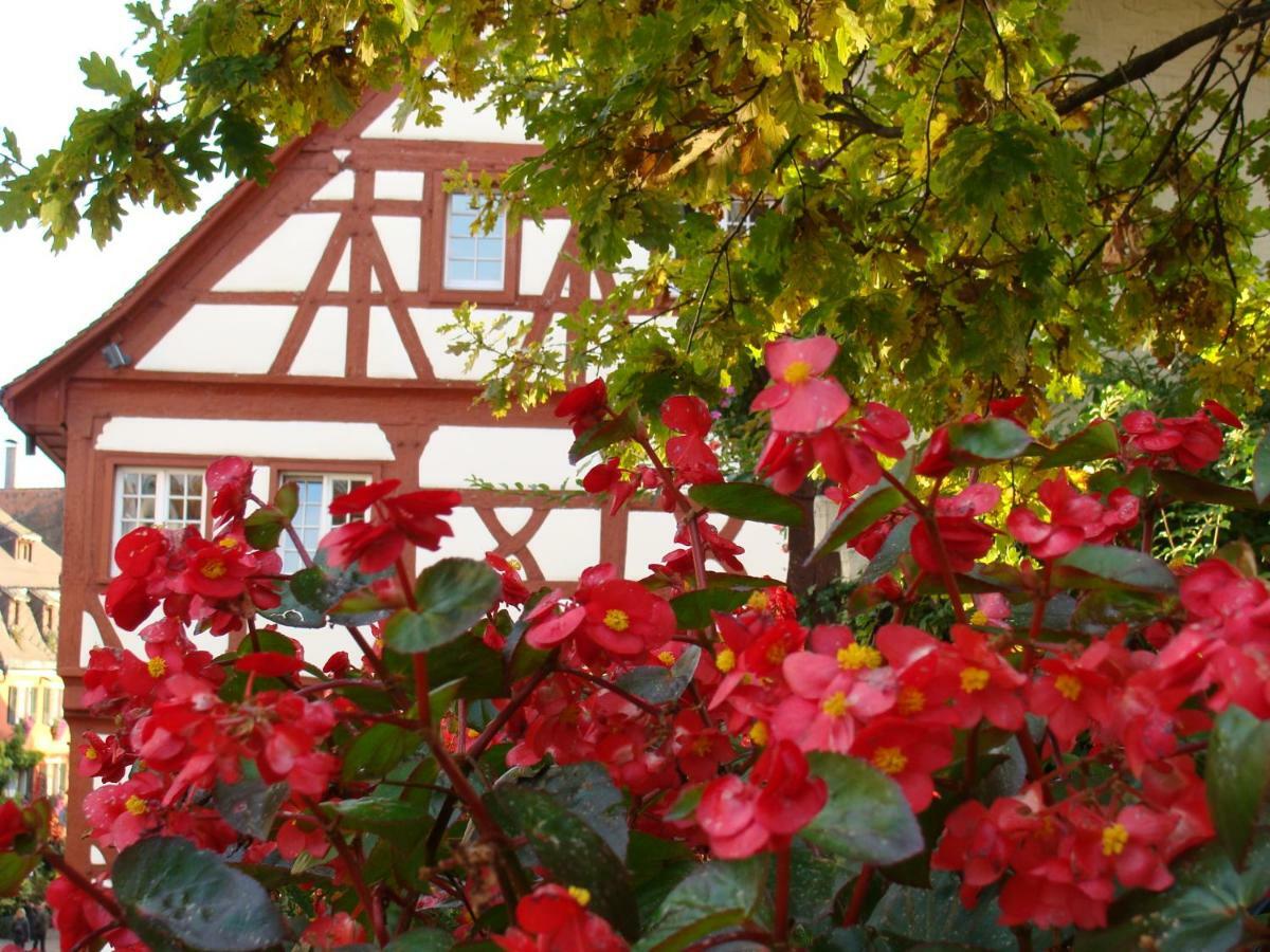 Haus Meersburg Garten ภายนอก รูปภาพ